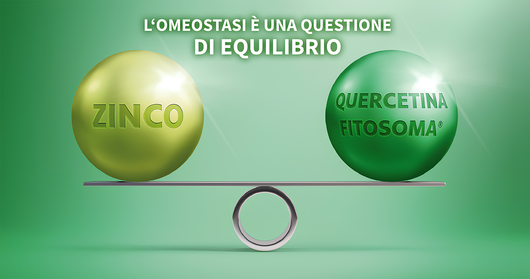 L’omeostasi è una questione di equilibrio